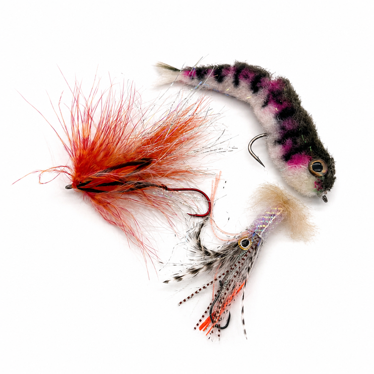Shanks & Stingers