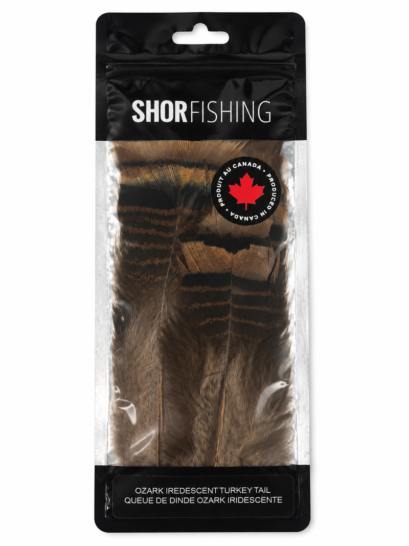 Load image into Gallery viewer, Shor Ozark iridescent turkey tail feathers in dark brown and gray, packaged
