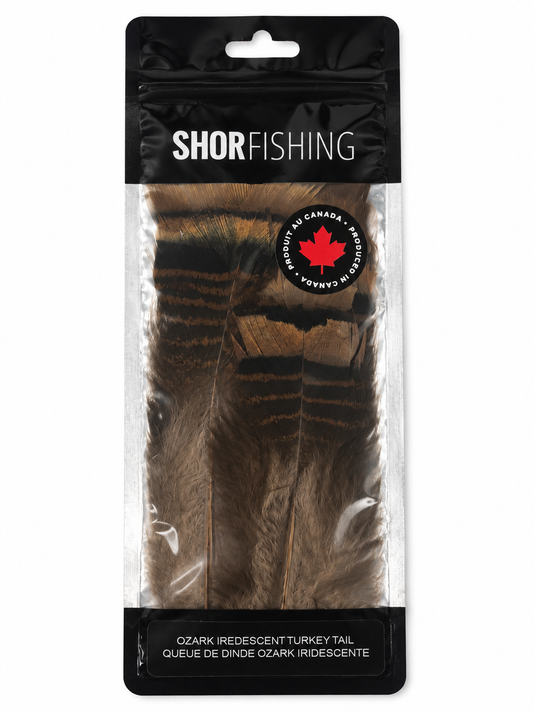 Shor Ozark iridescent turkey tail feathers in dark brown and gray, packaged