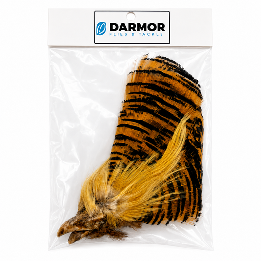 DARMOR - Golden Pheasant- Complete Head