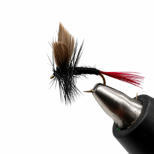 Black Gnat Red Tail Dry