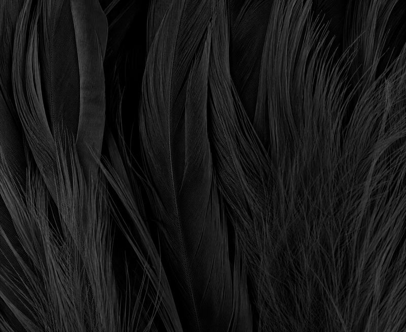 Load image into Gallery viewer, Shor Schlappen
