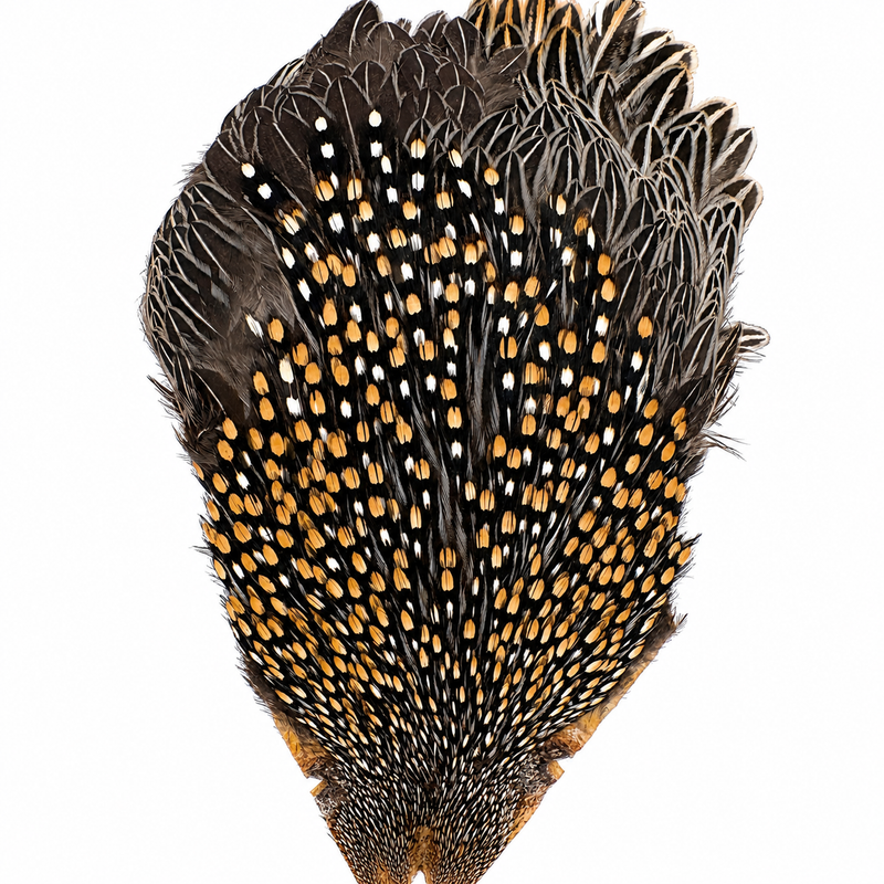 Load image into Gallery viewer, Jungle cock feathers with black quills and dense white dots plus warm orange accents.
