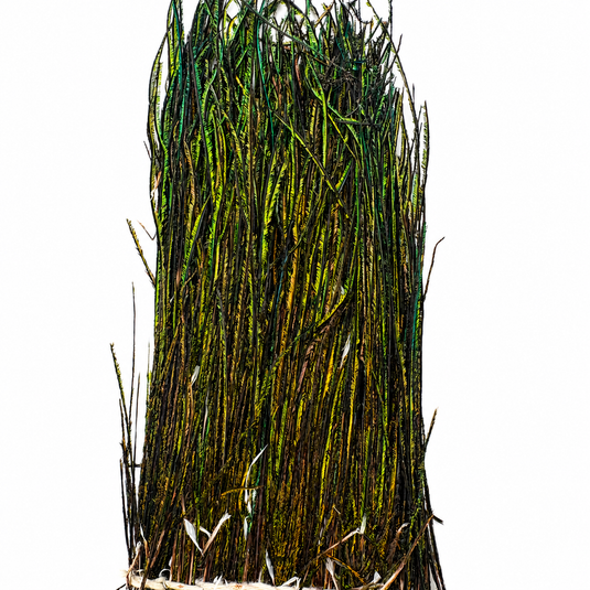 DarMor peacock herl feather strands, green and dark black with fine wispy fibers