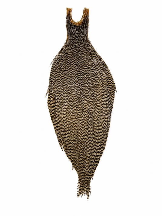 Root River Hackle