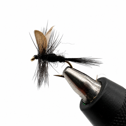 Black Gnat Dry