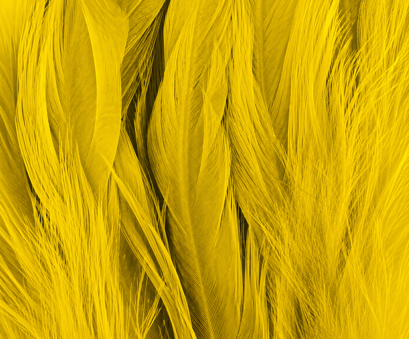 Load image into Gallery viewer, Shor Schlappen
