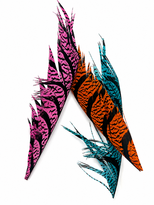 Dyed pheasant tail feathers set, pink, orange, and blue leopard patterns on black
