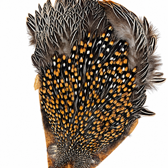 Jungle cock feather fan with gray-brown base, black quills, and white speckling.
