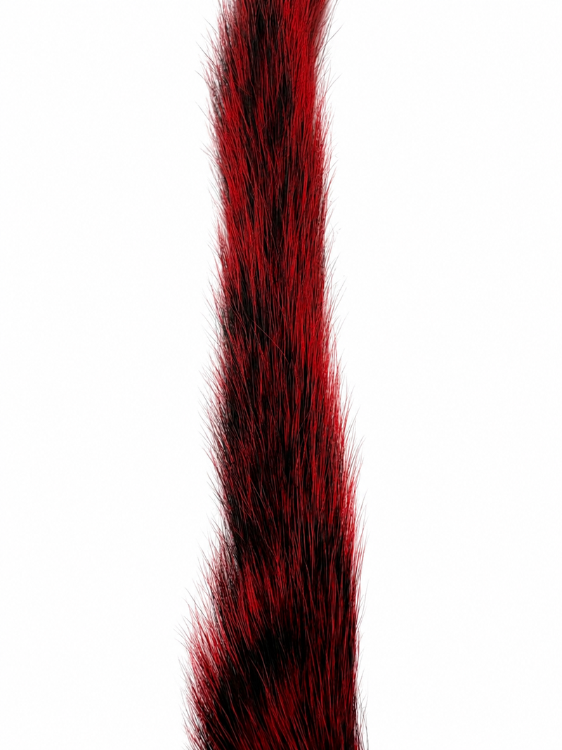 Load image into Gallery viewer, Red squirrel tail hackle strip close-up
