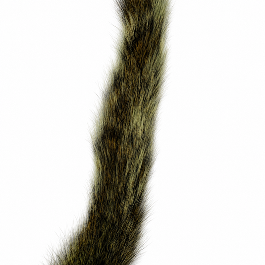 Squirrel tail with long olive-green fur, dense tufted fibers