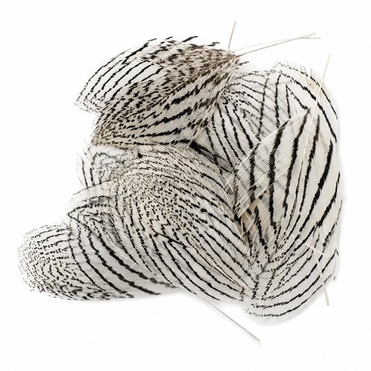 Fishing Fever Silver Pheasant - Bagged