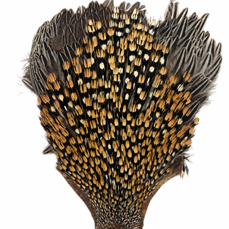 Load image into Gallery viewer, Jungle cock feather fan in black with orange-brown and white speckle, layered edges.

