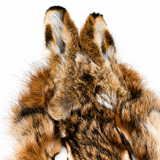 Hares mask fur close-up with mottled brown, black and cream texture, upright ear tips