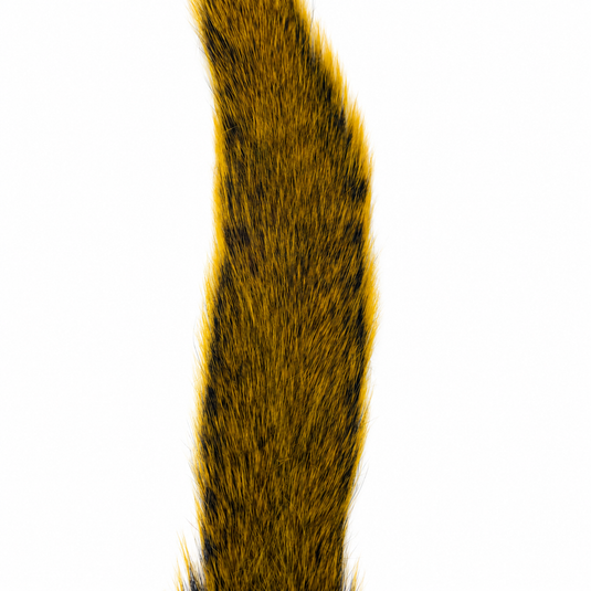 Yellow-brown squirrel tail hackle strip close-up