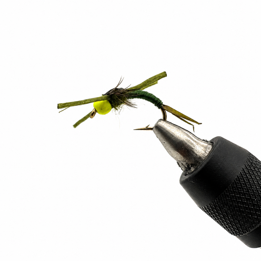 Candy Stonefly