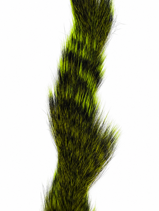 Chartreuse green squirrel tail hackle strip close-up