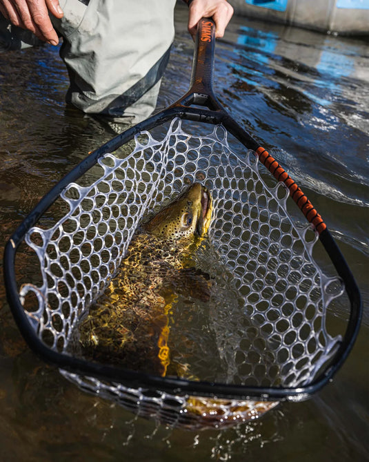 Landing net holding a fish, with white mesh and black hoop