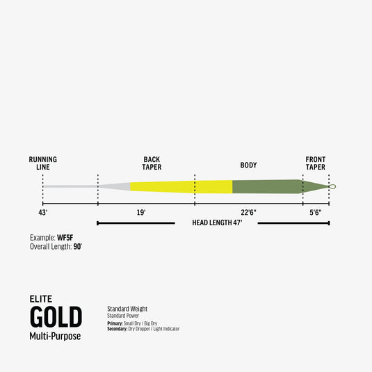 Fly line size diagram showing Elite Gold multi-purpose weight and taper