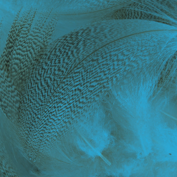 Load image into Gallery viewer, Mallard Flank
