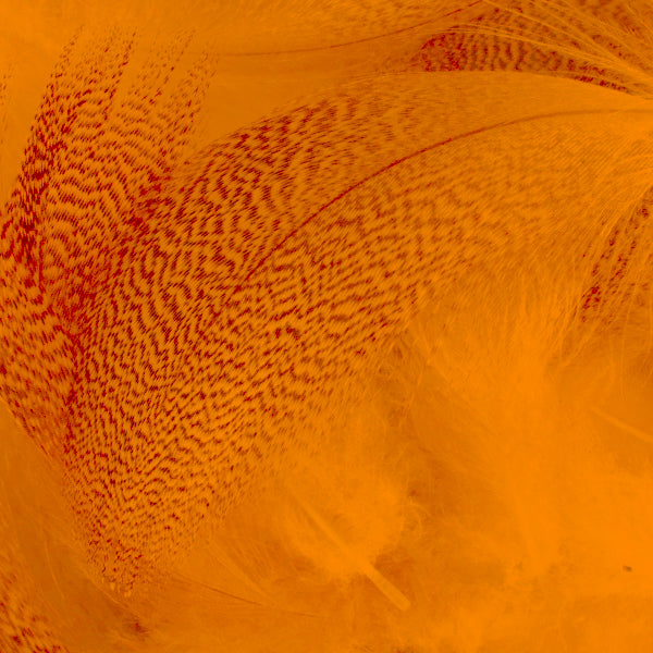 Load image into Gallery viewer, Mallard Flank

