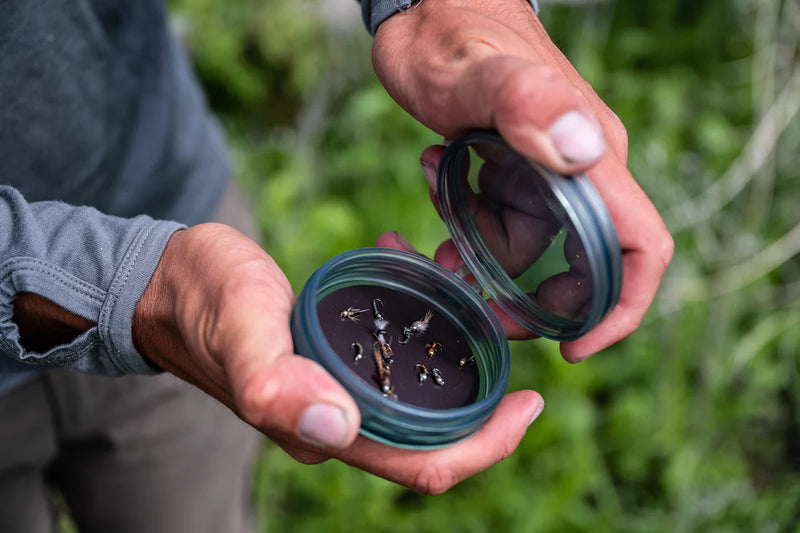 Load image into Gallery viewer, Shallow fly puck with lid, held in hands, showing flies inside

