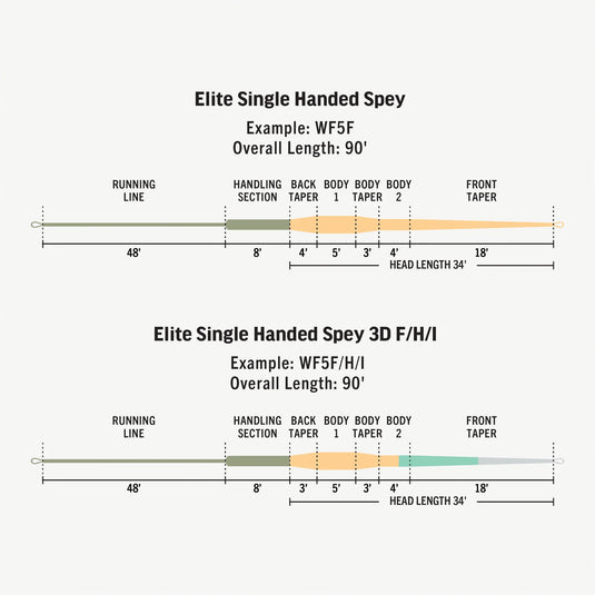 Spey line length and taper diagram for elite single handed spey line with measurements