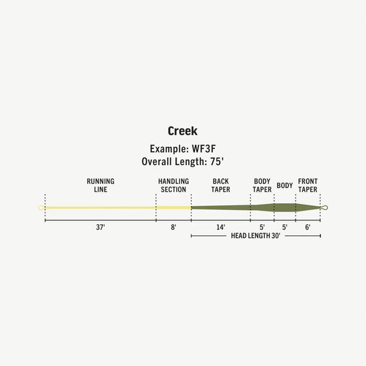 Creek fly line taper diagram with head length and sections