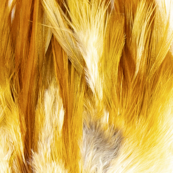 Load image into Gallery viewer, Shor Hackle
