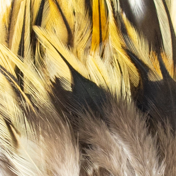 Load image into Gallery viewer, Shor Hackle
