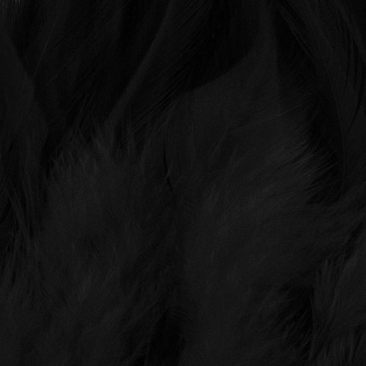 Shor Hackle