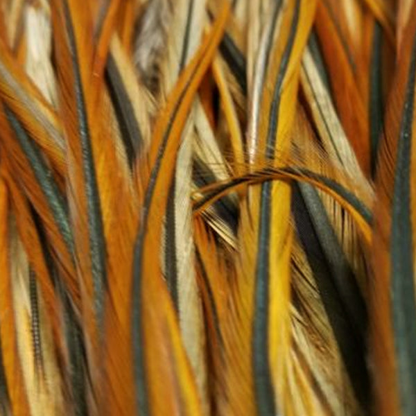 Load image into Gallery viewer, Multicolor hackle feathers with yellow, orange, and dark strands in close-up

