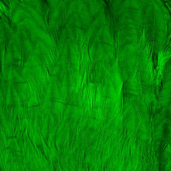 Load image into Gallery viewer, Shor Hen Neck For Salmon
