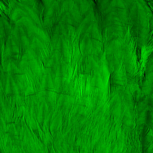Shor Hen Neck For Salmon