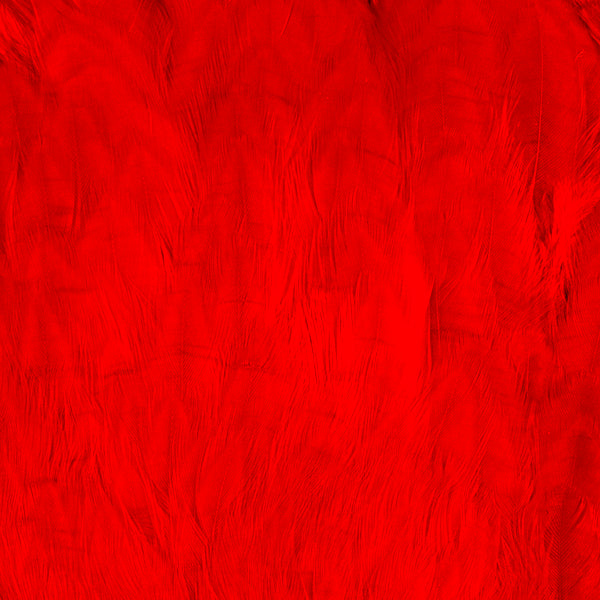 Load image into Gallery viewer, Shor Hen Neck For Salmon
