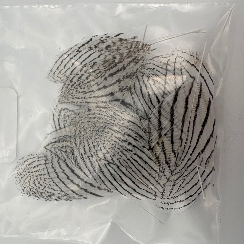 Load image into Gallery viewer, Fishing Fever Silver Pheasant - Bagged
