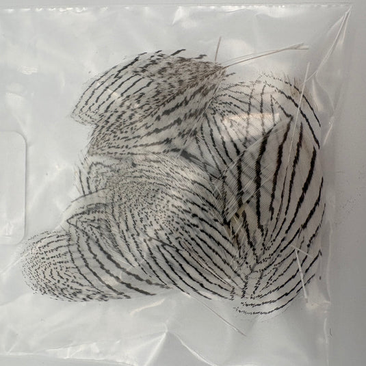 Fishing Fever Silver Pheasant - Bagged