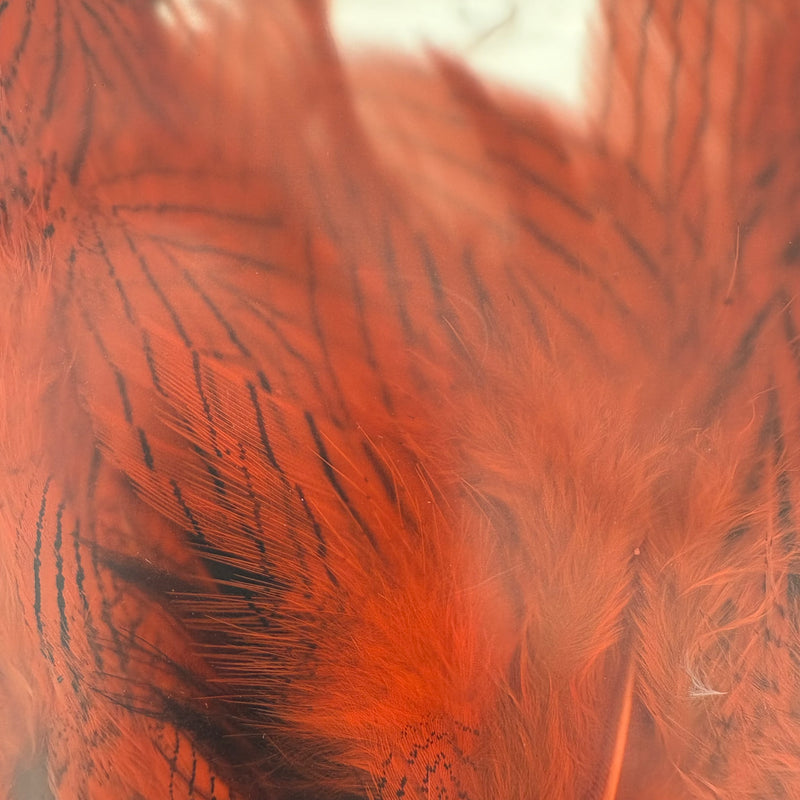 Load image into Gallery viewer, Shor Stung Silver Pheasant
