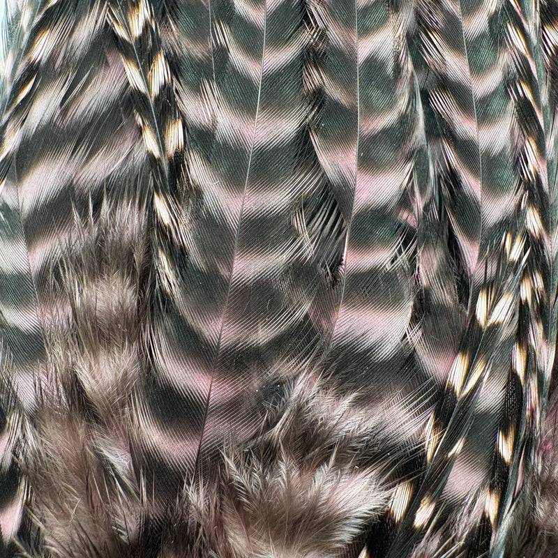Load image into Gallery viewer, DARMOR Saddle/Wooly Bugger Packs
