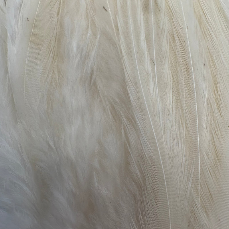 Load image into Gallery viewer, DARMOR Saddle/Wooly Bugger Packs
