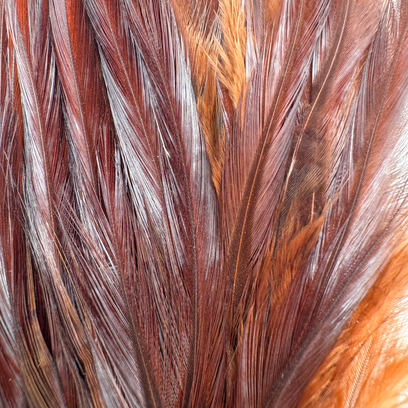 Load image into Gallery viewer, DARMOR Saddle/Wooly Bugger Packs
