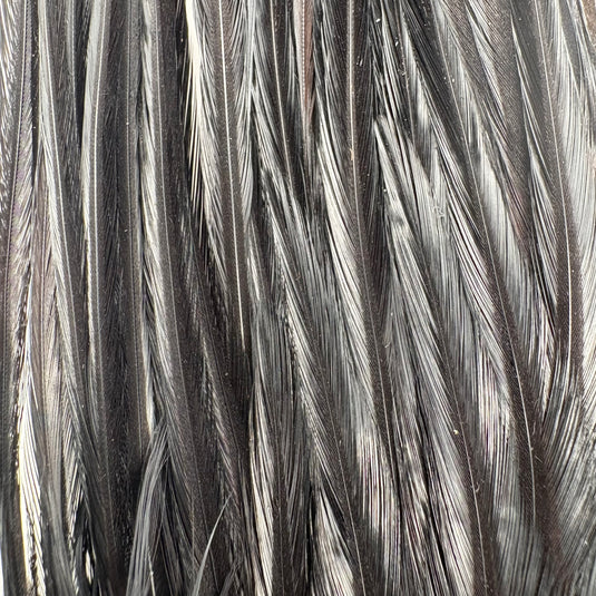 DARMOR Saddle/Wooly Bugger Packs