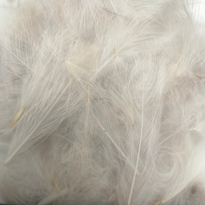 Load image into Gallery viewer, White CDC feathers close-up with fine, fluffy down texture
