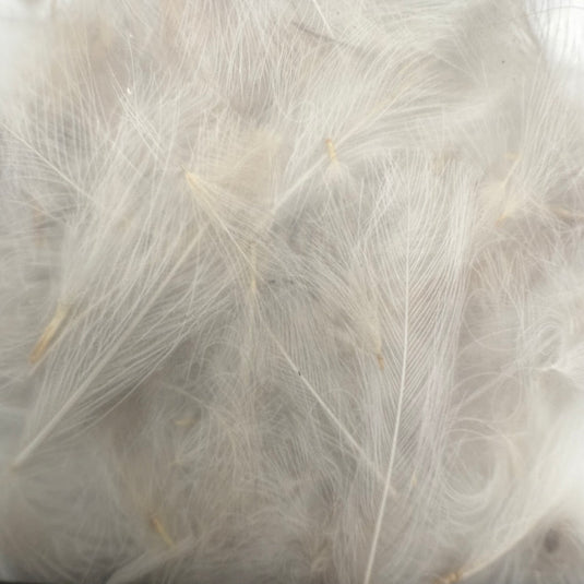 White CDC feathers close-up with fine, fluffy down texture
