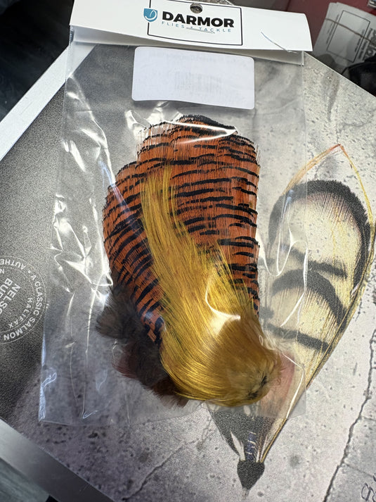 DARMOR - Golden Pheasant- Complete Head