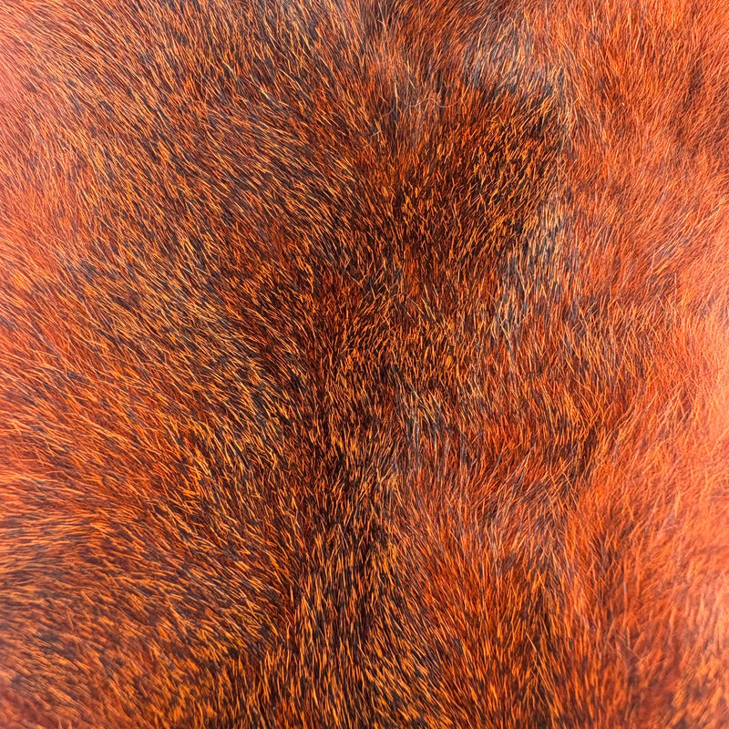 Load image into Gallery viewer, Darmor Squirrel Pelt
