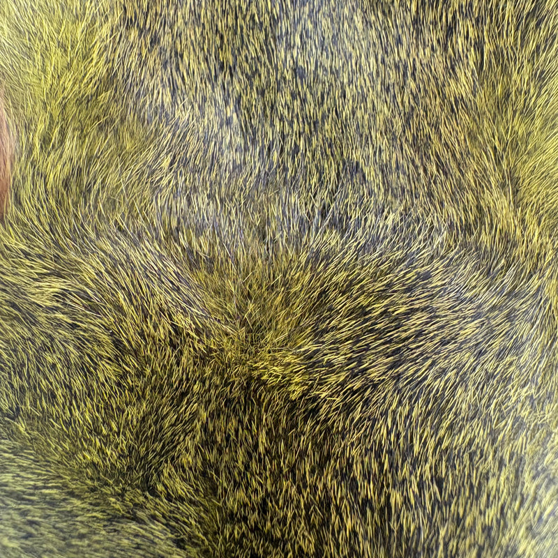 Load image into Gallery viewer, Darmor Squirrel Pelt
