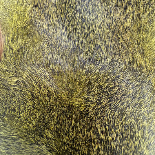 Darmor Squirrel Pelt
