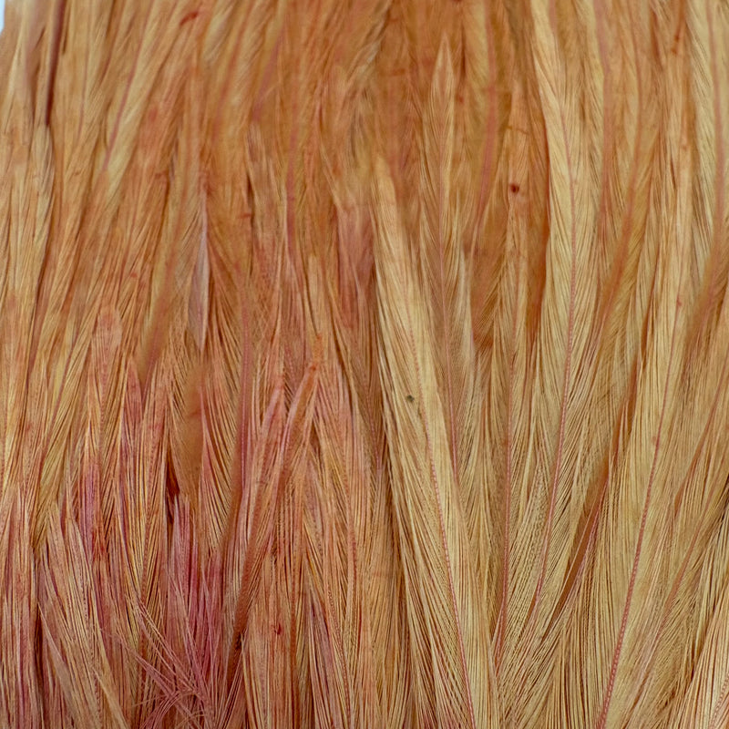 Load image into Gallery viewer, Peach feather saddle with long tufted fibers and light strands
