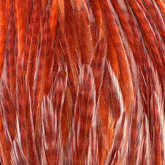 Red-orange feather saddle with long tufted fibers
